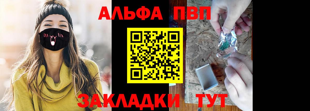 Альфа ПВП СК Котлас