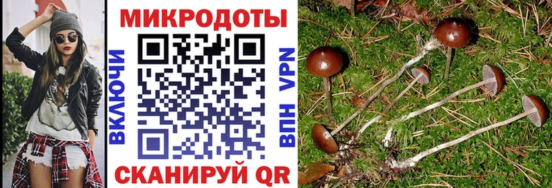 Галлюциногенные грибы прущие грибы  Котлас 